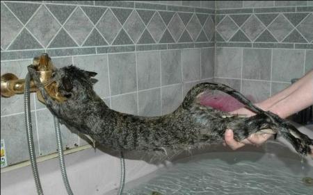 MIWWWWWWWWWWWWWWWW